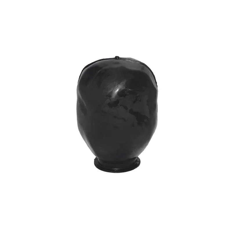 Wilo Membrane 20 Liter zu HWJ202/203 EM 4241267